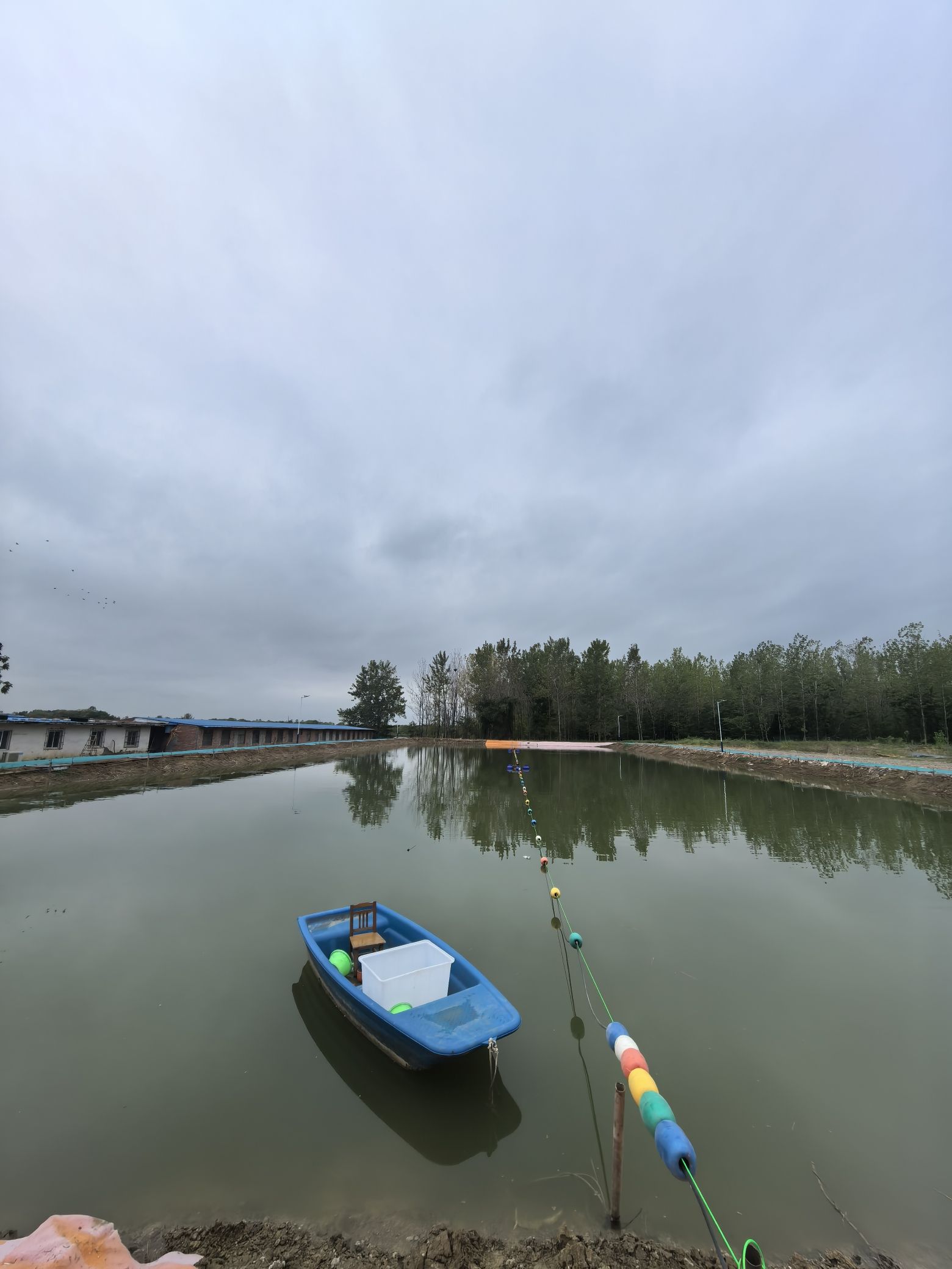 滨湖青鱼垂钓园钓场环境照片