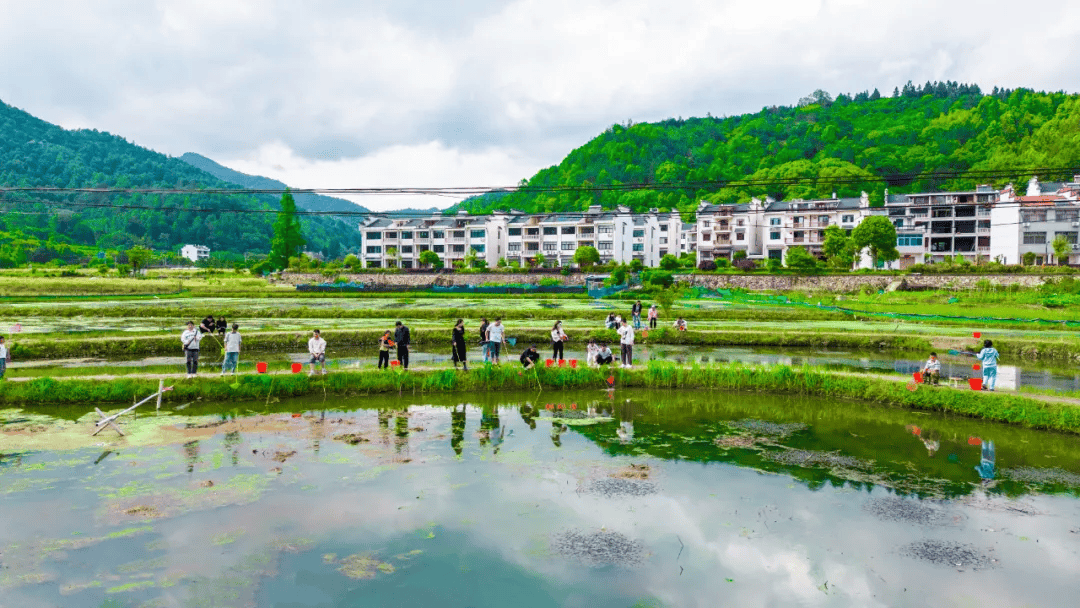 前吴灵溪小龙虾垂钓基地钓场环境缩略图