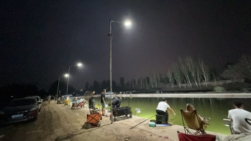 老陈鱼池钓场环境照片