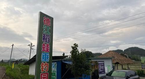 德江聚创园稻蛙垂钓农场钓场环境照片