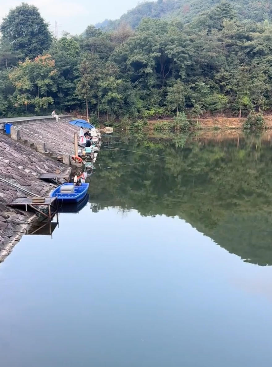奉化三木休闲垂钓园钓场环境照片