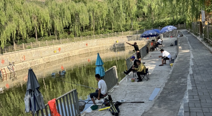 榆中龍泉垂钓中心钓场环境照片