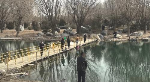 东晨休闲垂钓园钓场环境照片