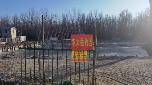 农大垂钓园钓场环境照片