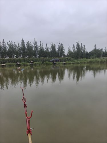 小王村垂钓园钓场环境照片