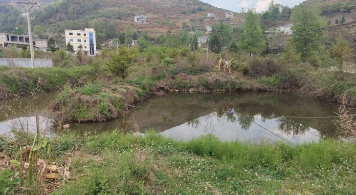 江濠钓场钓场环境照片