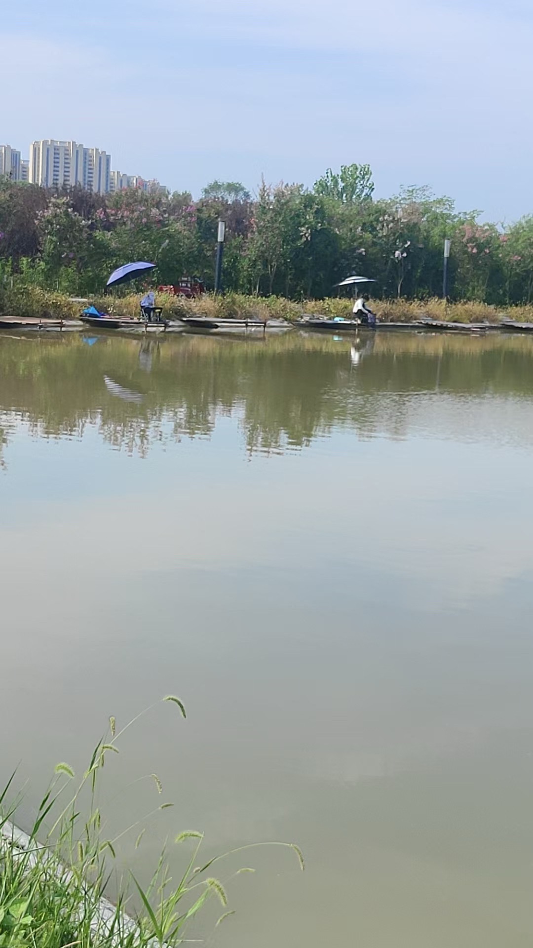 肥西县聚友垂钓中心钓场环境照片
