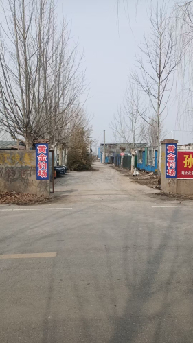黄金钓场钓场环境照片