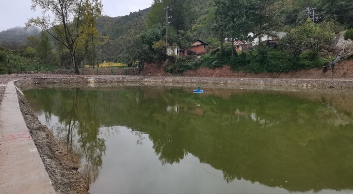徽县石佛贤聚混养巨物钓场钓场环境照片