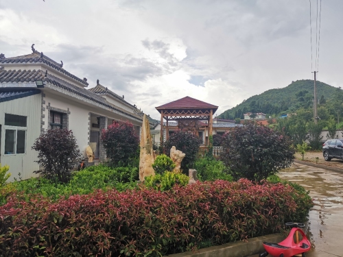 小营村生态垂钓园钓场环境照片