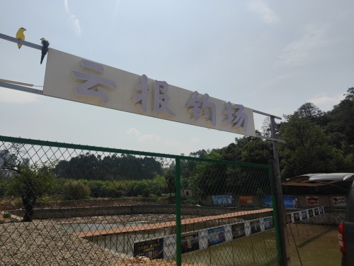 云报钓场钓场环境照片