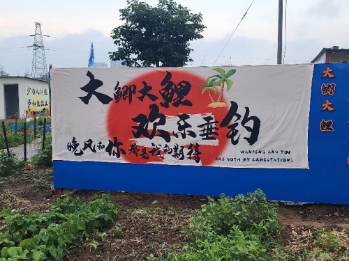 大鲫大鲤欢乐垂钓钓场环境照片