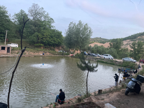 徐寨2号老郑垂钓钓场环境照片