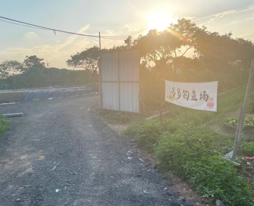 多多钓场钓场环境照片
