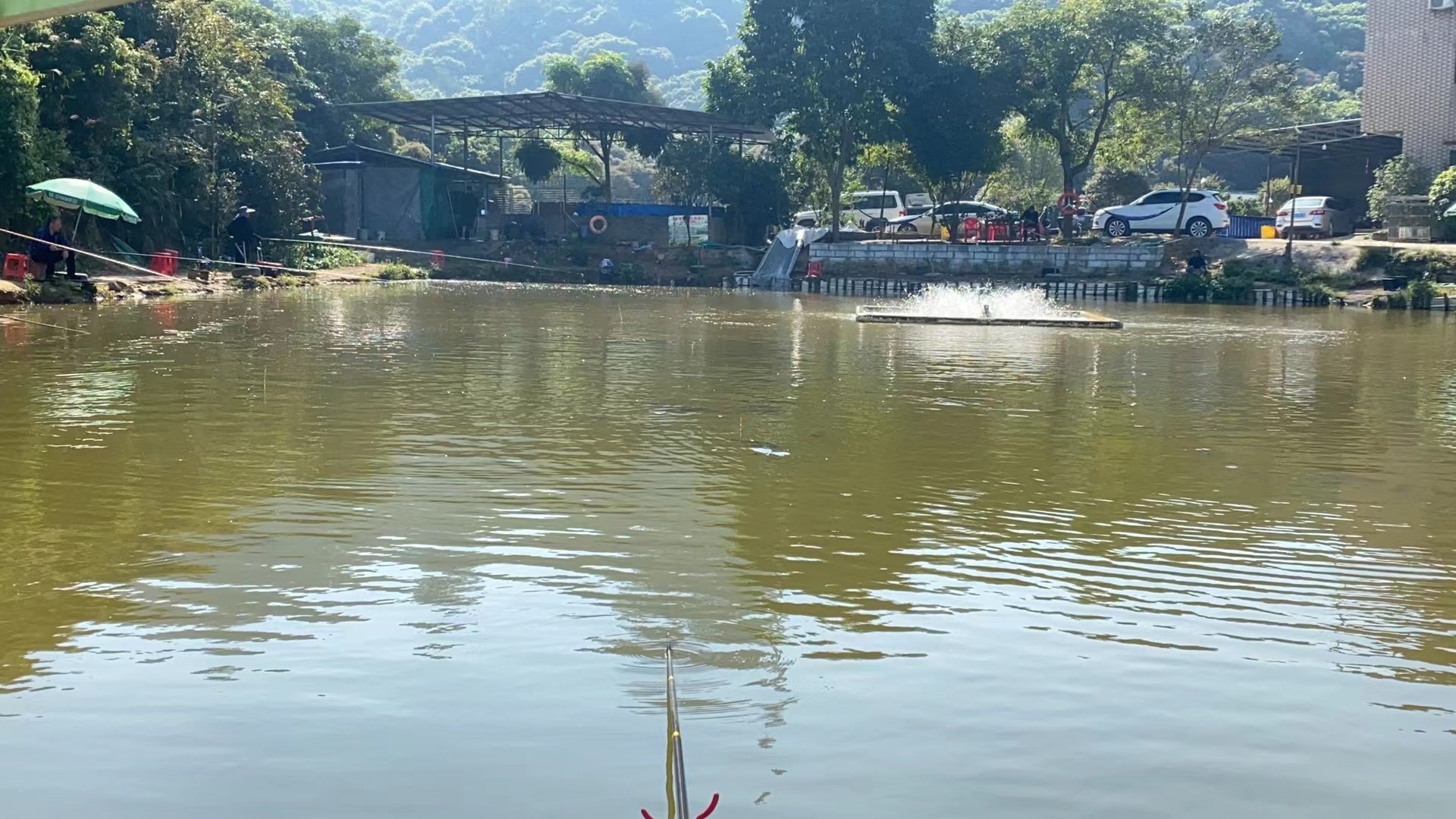 杨屋菜博士钓场钓场环境照片