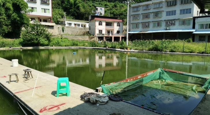 铁杆垂钓中心钓场环境照片