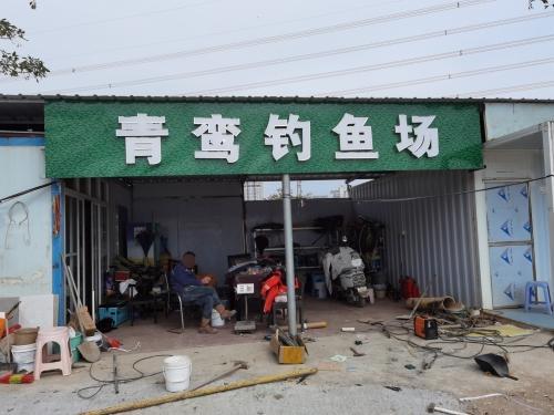 青鸾钓鱼场钓场环境照片
