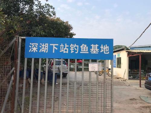 深湖下站钓鱼基地钓场环境照片