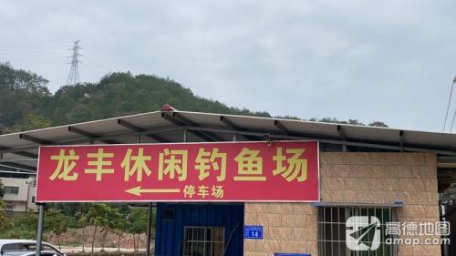 龙丰休闲钓鱼场钓场环境照片