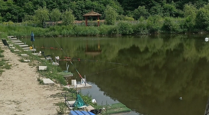 青山绿水大物钓场钓场环境照片