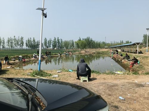 庙留庄垂钓园钓场环境照片