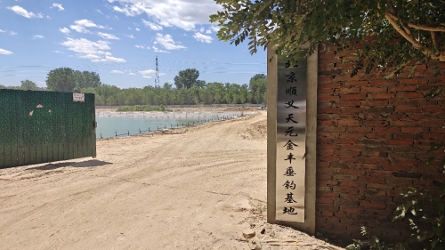 顺义天元金丰垂钓园钓场环境照片