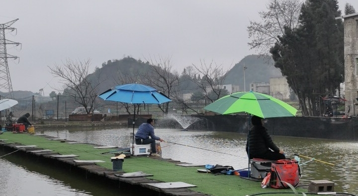晨曦垂钓园钓场环境照片