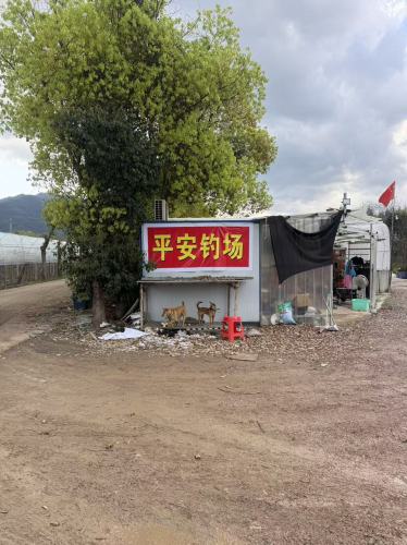 平安钓场钓场环境照片