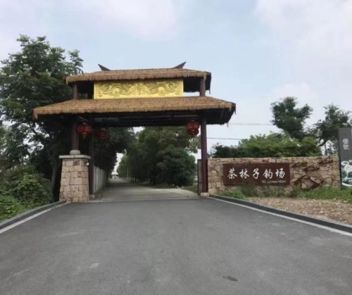 茶林子钓场钓场环境照片