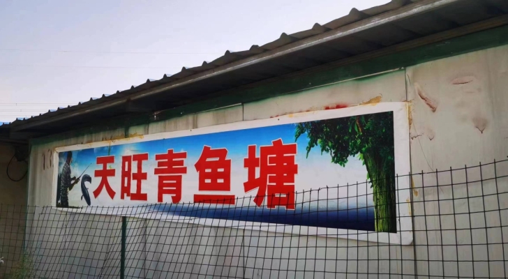 天旺休闲混养塘钓场环境照片