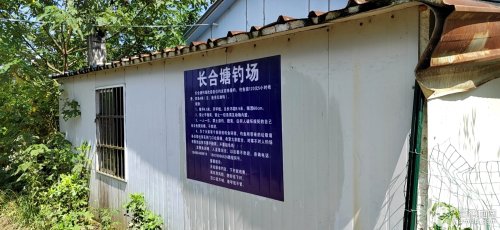 长合塘钓场钓场环境照片