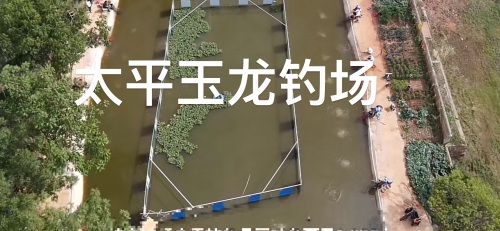 太平玉龙钓场钓场环境照片