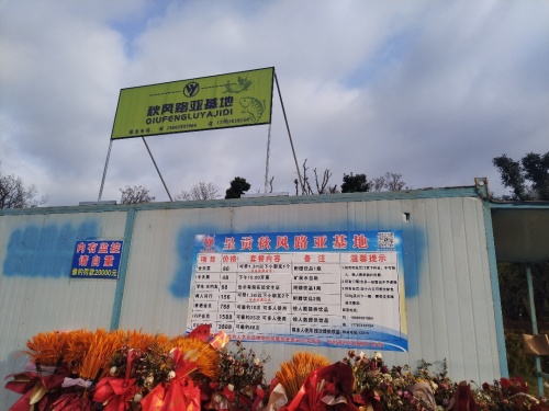 呈贡秋风路亚基地钓场环境照片