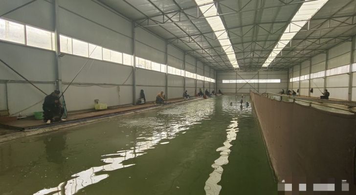 满福山庄垂钓园钓场环境缩略图