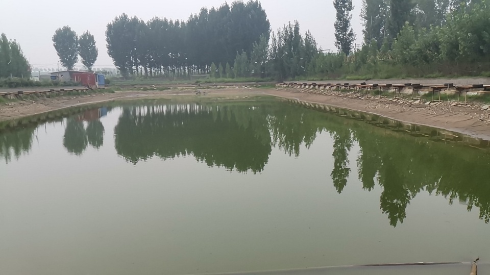 汾河湾大物钓场钓场环境照片