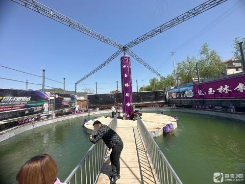 济南玉林小圆塘钓场环境照片
