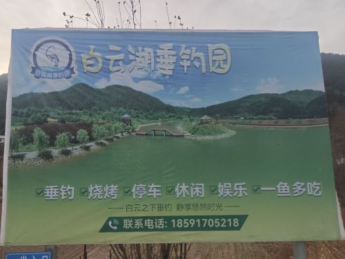 白云湖垂钓园钓场环境照片