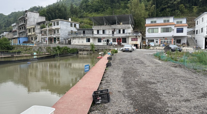 渔乐垂钓基地钓场环境照片