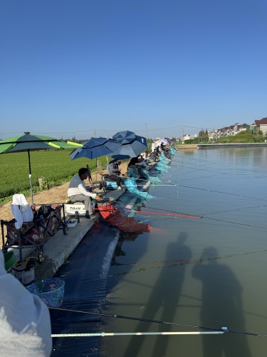 青松垂钓园钓场环境照片