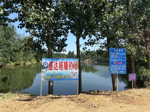 盛达鲢鳙钓场钓场环境照片