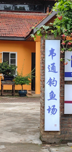 韦通钓鱼场钓场环境照片