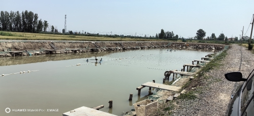 田园牧歌垂钓园钓场环境照片