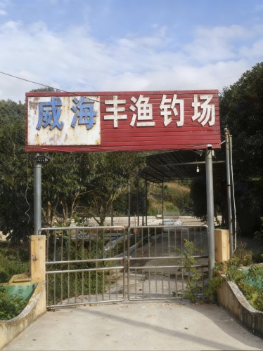 威海丰渔钓场钓场环境照片