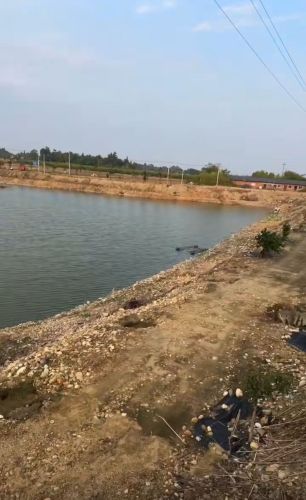 欢喜沙坑休闲钓场钓场环境照片