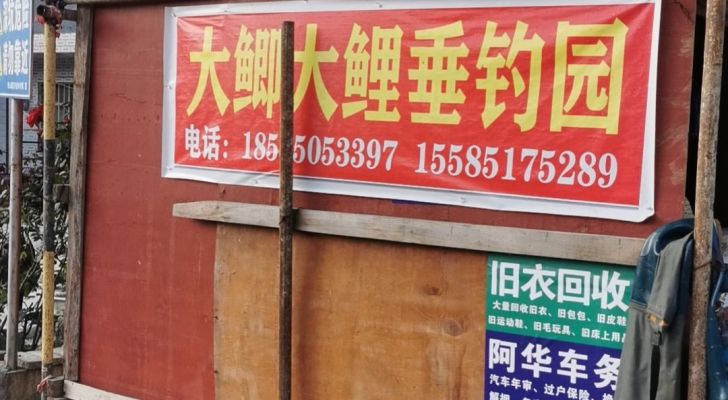 大鲫大鲤鱼塘钓场环境照片