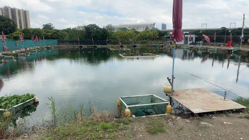 南福钓鱼场钓场环境照片