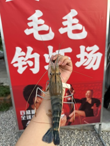 毛毛钓虾场钓场环境照片