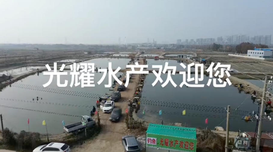 光耀钓场钓场环境照片