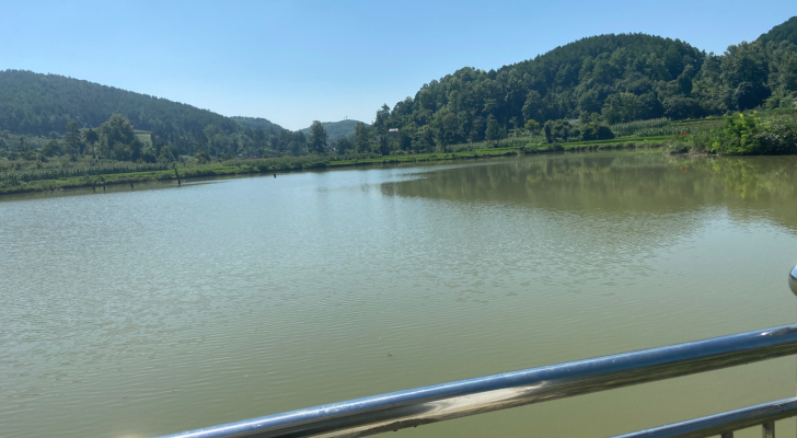 桃园垂钓园钓场环境照片