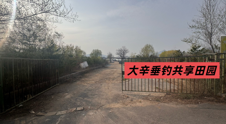 大辛垂钓共享田园钓场环境照片